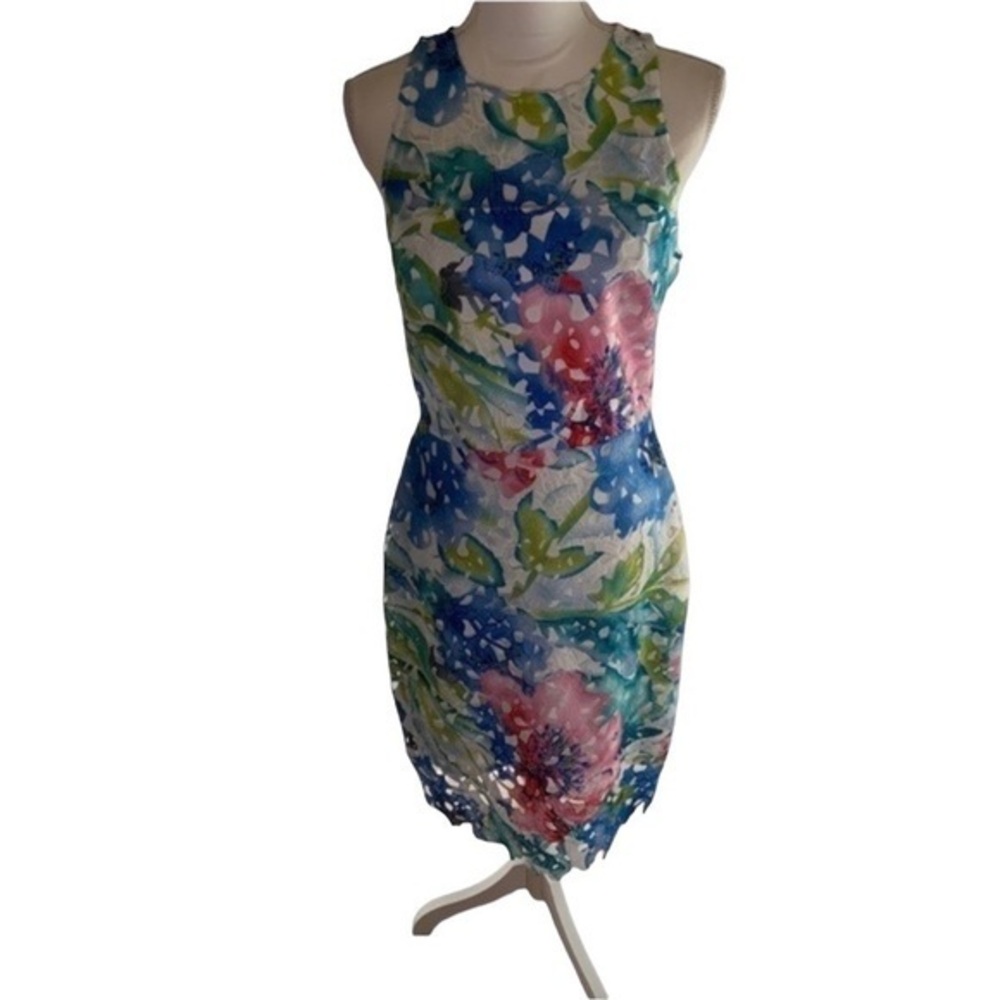 Betsey Johnson Floral Mesh Dress